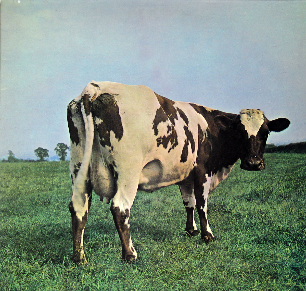 High Resolution Photo #1 PINK FLOYD Atom Heart Germany HorZu 